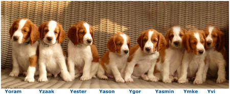 Yoram           Yzaak          Yester        Yason         Ygor         Yasmin      Ymke      Yvi