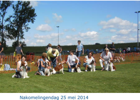 Nakomelingendag 25 mei 2014
