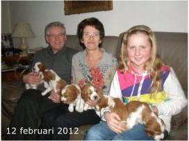 12 februari 2012