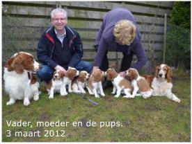 Vader, moeder en de pups. 3 maart 2012